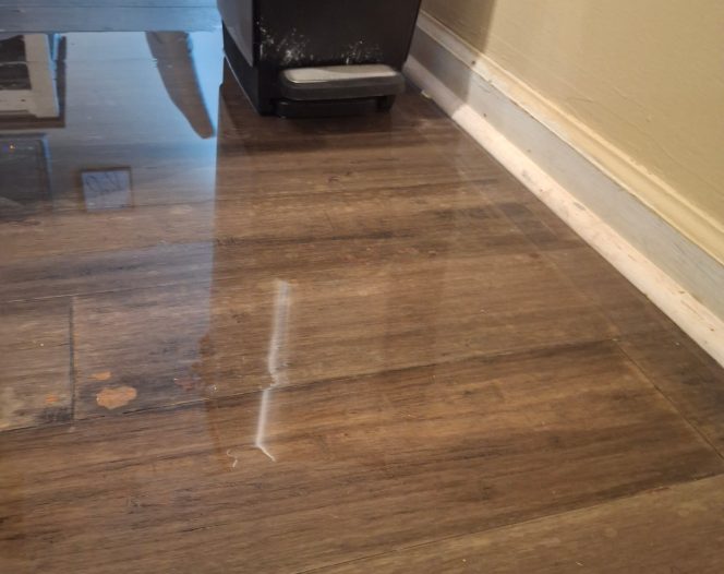 hasi property restoration 2026 01 22T15:18:23.355799Z 55383